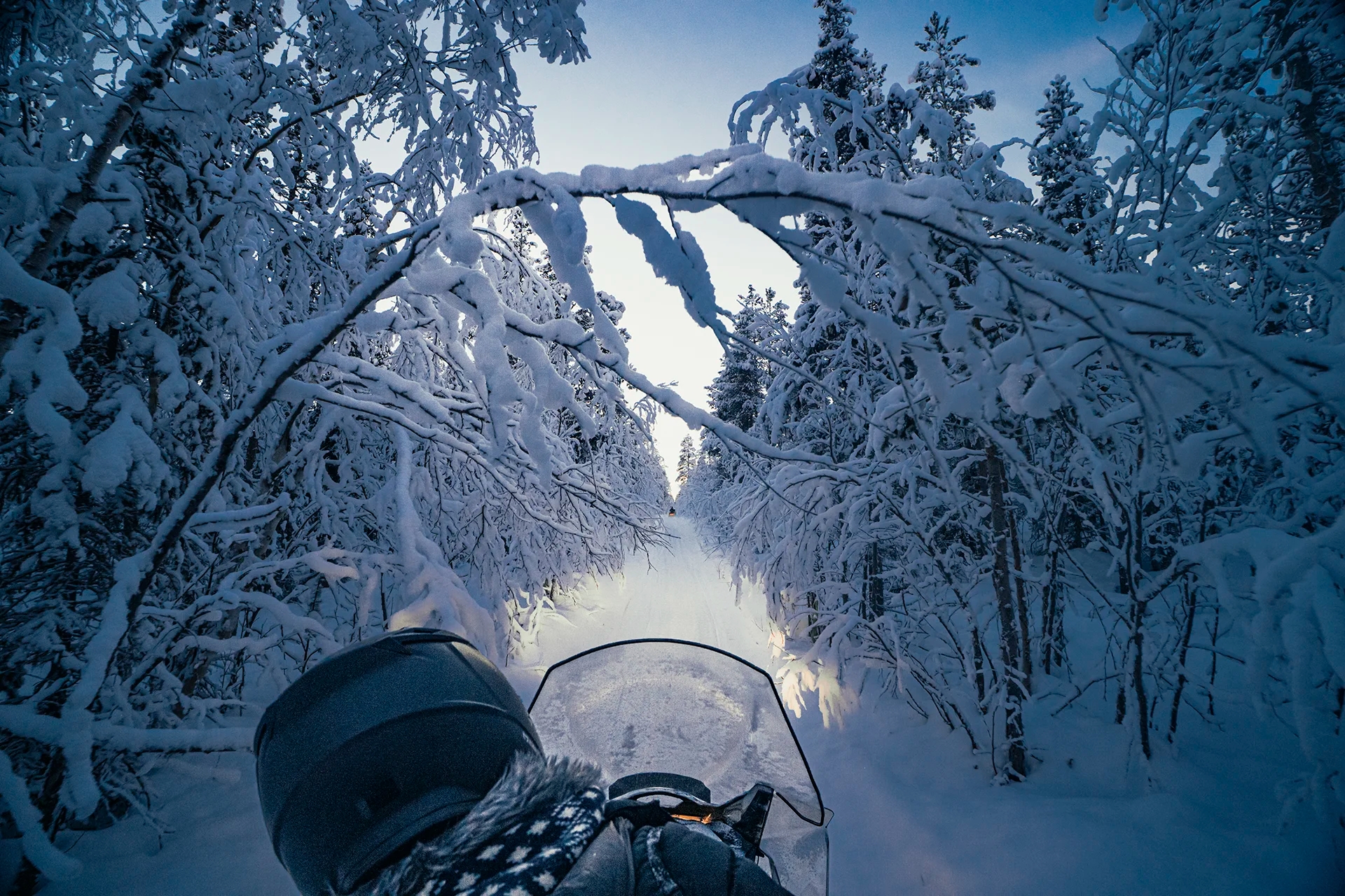Kiruna: Głęboka taiga – wyprawa skuterami śnieżnymi z obiadem przy ognisku
