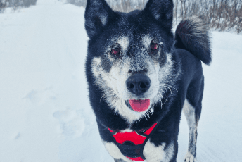 Autorskie programy b2b