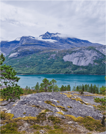Tytuł poradnika/bloga