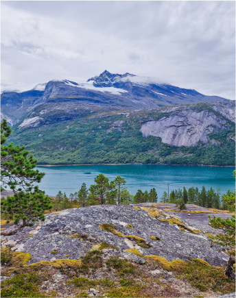 Tytuł poradnika/bloga